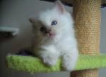 IMG_joel2344