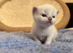 lila IMG_7332