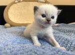 PP7 IMG_7309